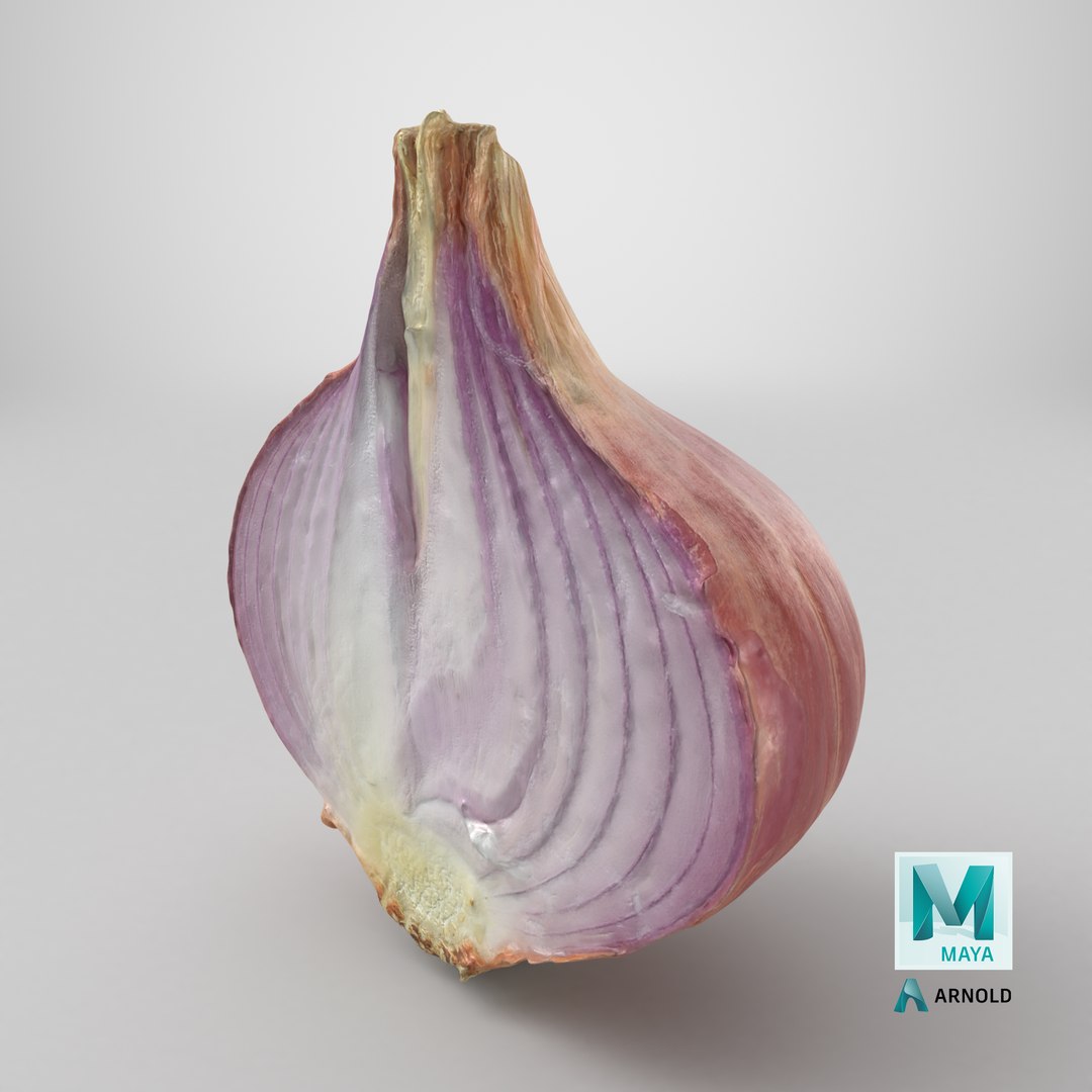 Shallot Half 3D model https://p.turbosquid.com/ts-thumb/I5/HWbVSX/3U/stemcell_maya_arnold_render/png/1710516319/1920x1080/fit_q87/8cd3732ac5d4c1e93cccf396ff278d5f97c60bd5/stemcell_maya_arnold_render.jpg