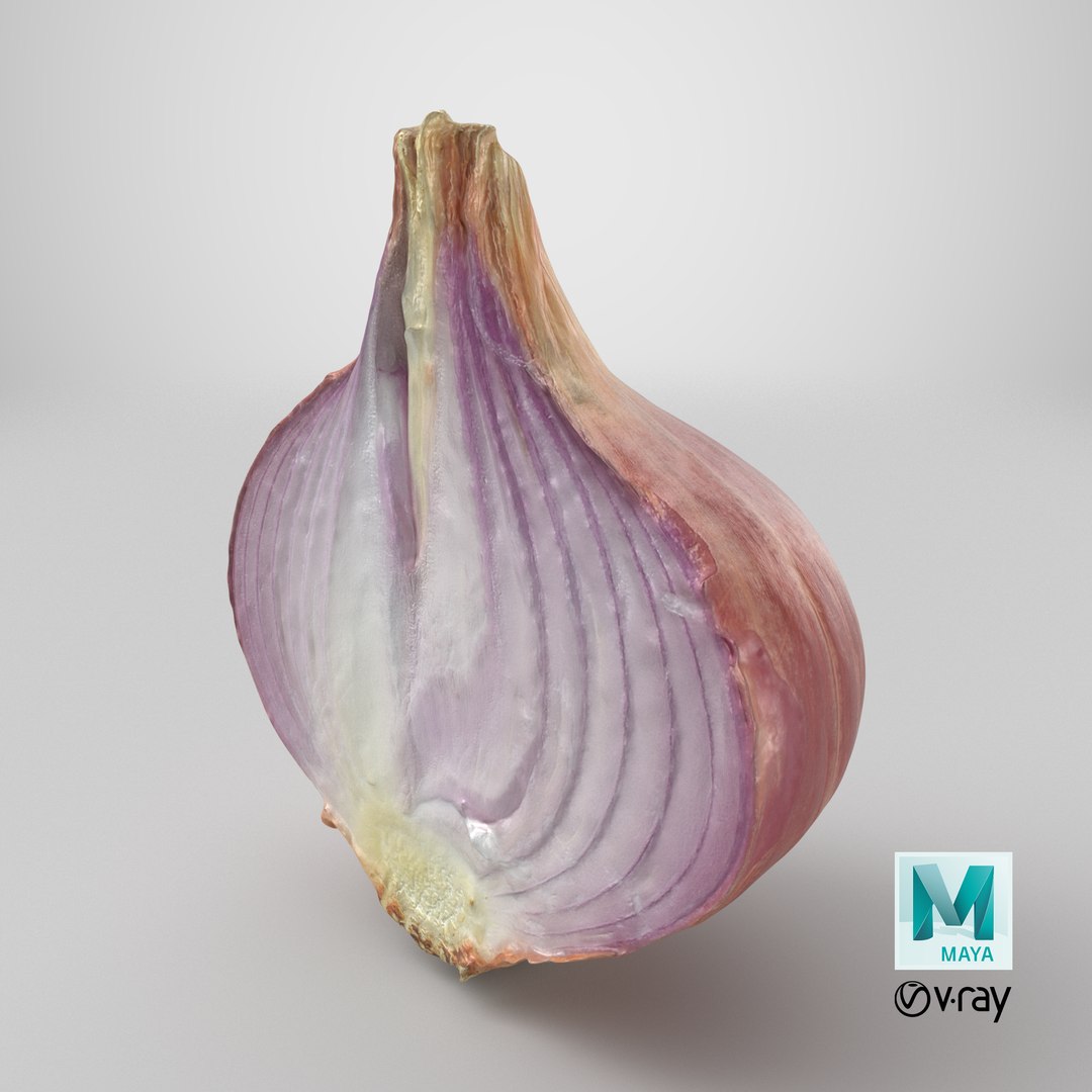 Shallot Half 3D model https://p.turbosquid.com/ts-thumb/I5/HWbVSX/4d/stemcell_maya_vray_render/png/1710516321/1920x1080/fit_q87/c422ac41e9bfabbfa6a08e747a78ba233e6d765a/stemcell_maya_vray_render.jpg