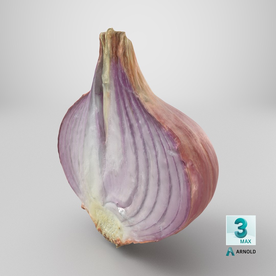 Shallot Half 3D model https://p.turbosquid.com/ts-thumb/I5/HWbVSX/5r/stemcell_max_arnold_render/png/1710516328/1920x1080/fit_q87/49a18cea06275b1bca676265ebeede2ae092a638/stemcell_max_arnold_render.jpg