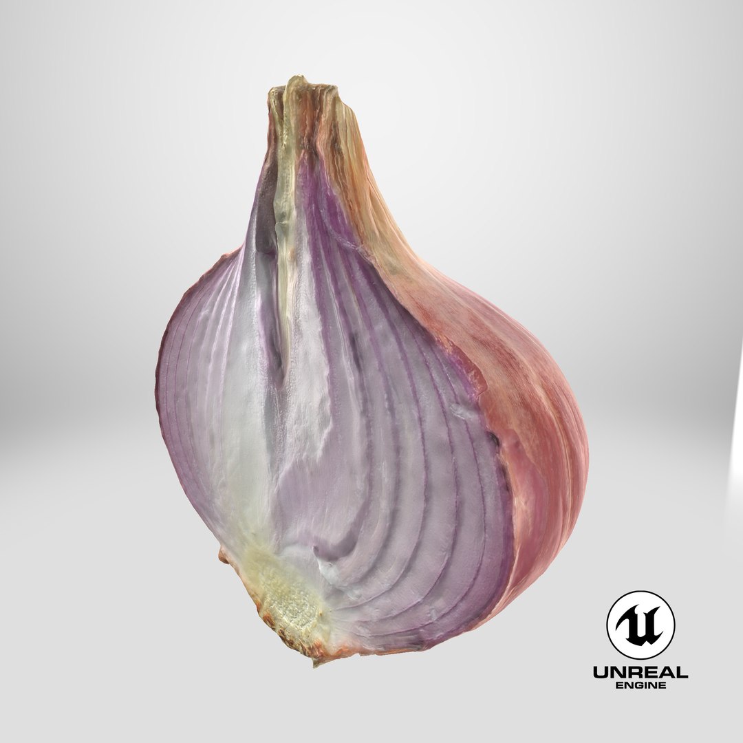 Shallot Half 3D model https://p.turbosquid.com/ts-thumb/I5/HWbVSX/RW/stemcell_unreal_render/png/1710516330/1920x1080/fit_q87/a1ea074500a765e25742ae56c89756dc524ca3d3/stemcell_unreal_render.jpg