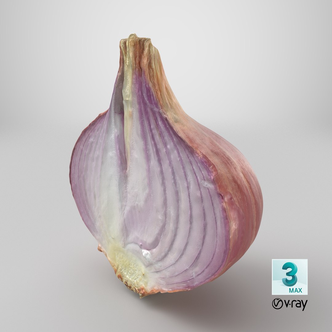 Shallot Half 3D model https://p.turbosquid.com/ts-thumb/I5/HWbVSX/Td/stemcell_max_vray_render/png/1710516326/1920x1080/fit_q87/67ba2e63c7d16c659e726f297756f116d91037b3/stemcell_max_vray_render.jpg