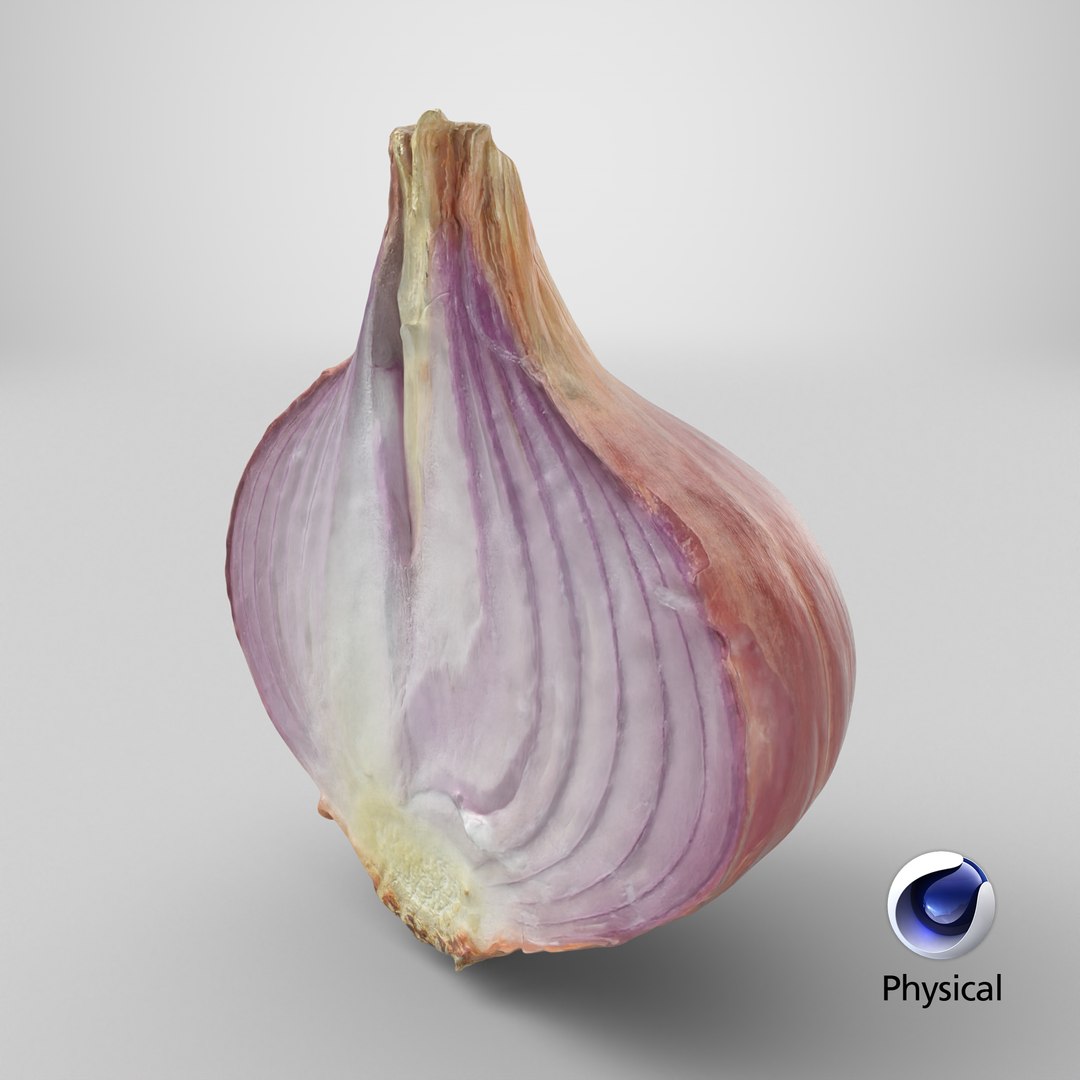 Shallot Half 3D model https://p.turbosquid.com/ts-thumb/I5/HWbVSX/ia/stemcell_cinema_4d_physical_render/png/1710516324/1920x1080/fit_q87/c2fac2f62b35d2aca2d1202cd7235df7cf84908c/stemcell_cinema_4d_physical_render.jpg