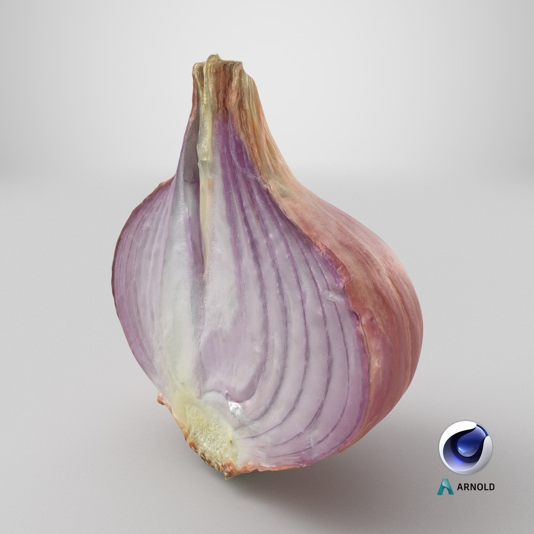 Shallot Half 3D model https://p.turbosquid.com/ts-thumb/I5/HWbVSX/vN/stemcell_cinema_4d_arnold_render/png/1710516323/1920x1080/fit_q87/21a44bd88d7855e9a291cc030212c94aa5faf607/stemcell_cinema_4d_arnold_render.jpg