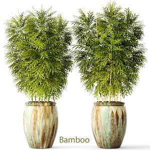 3d bamboo