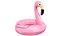 Pool Raft Flamingo