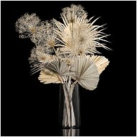 Bouquet Of Dry Palm Leaves And Hogweed 240