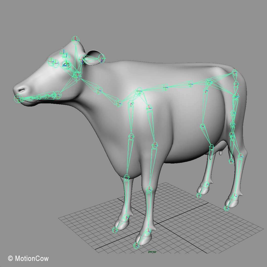 animation cow max