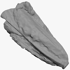Romaine Lettuce 01 for 3D Print model