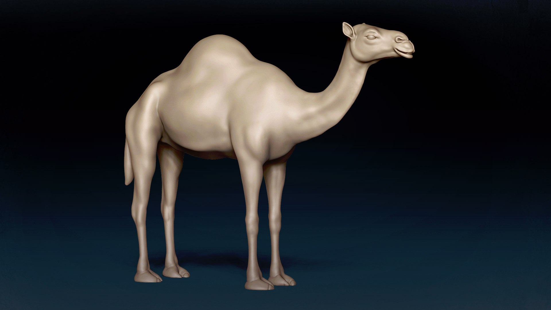 3D Camel Base Mesh 3D https://p.turbosquid.com/ts-thumb/I5/g9KyhV/4l/3/jpg/1638721431/1920x1080/fit_q87/9f39f0d72a852a1460546d7296cc17ca499a4cda/3.jpg