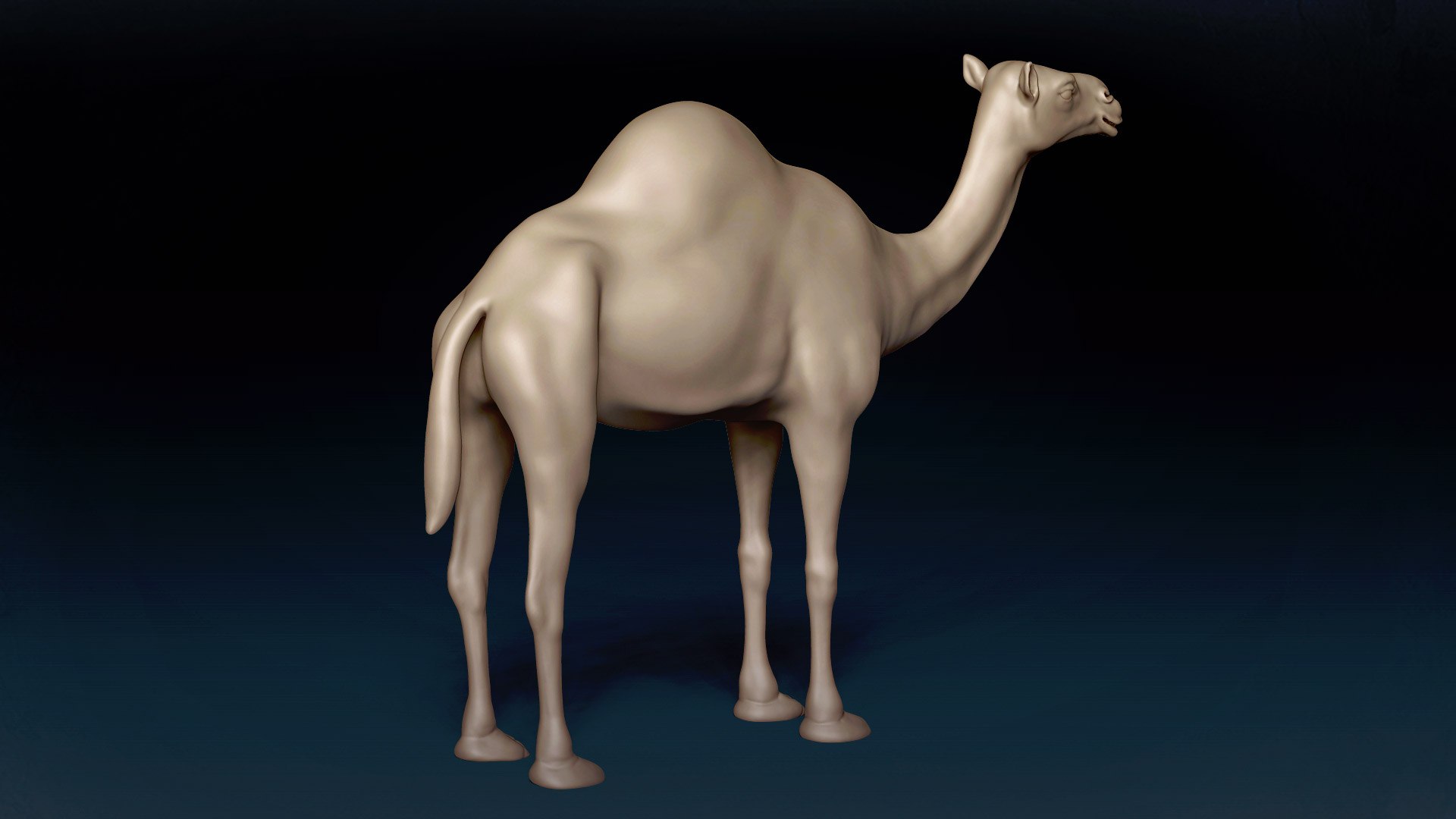 3D Camel Base Mesh 3D https://p.turbosquid.com/ts-thumb/I5/g9KyhV/Ax/5/jpg/1638721431/1920x1080/fit_q87/d56471dbbd3f81b32b1fa445e7d5e9d57ccd6598/5.jpg