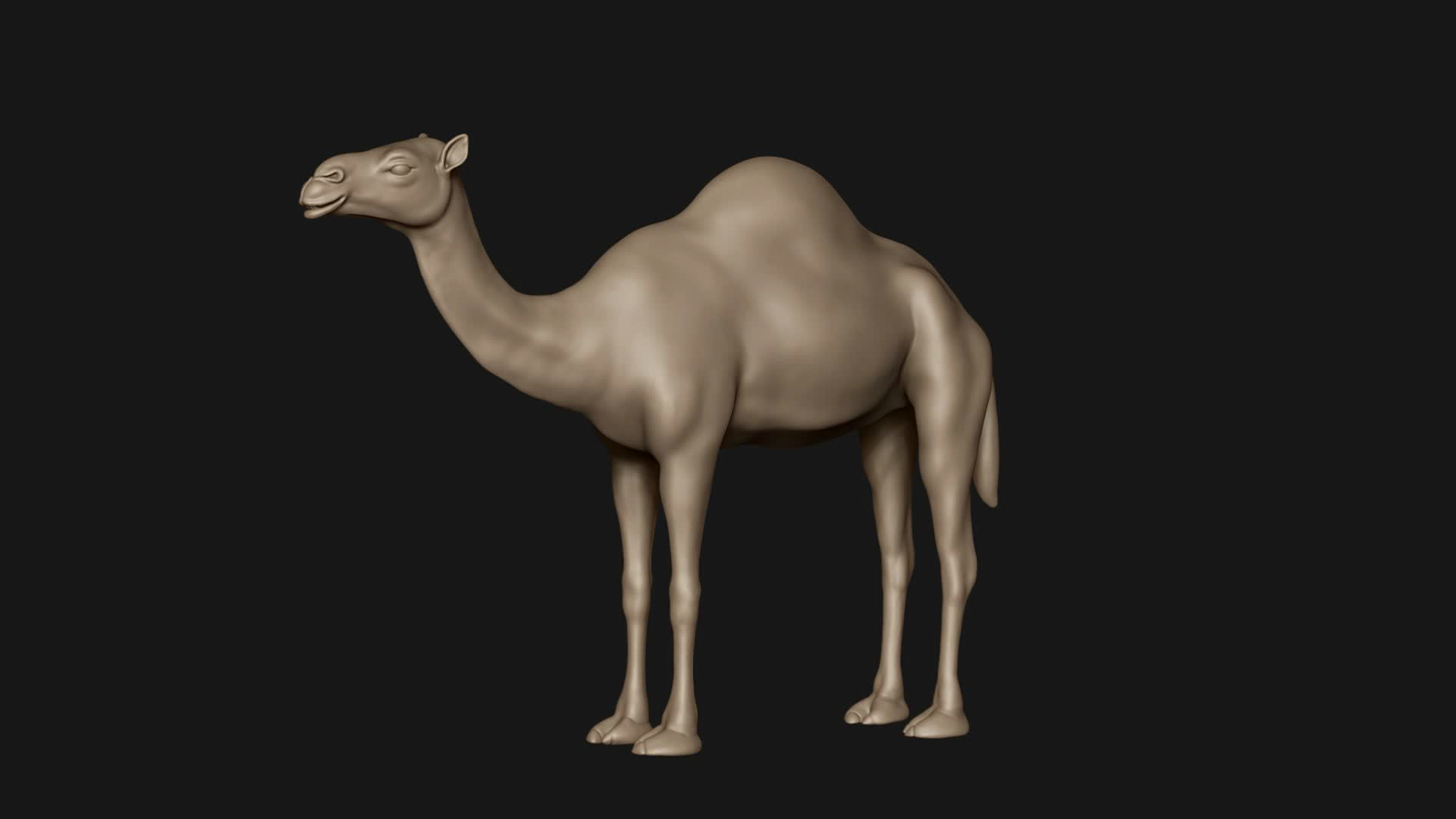 3D Camel Base Mesh 3D https://p.turbosquid.com/ts-thumb/I5/g9KyhV/BD/frame/jpg/1647018414/1920x1080/turn_fit_q99/43e353f792ba8ae74f005050b886dfc02a091369/frame-1.jpg