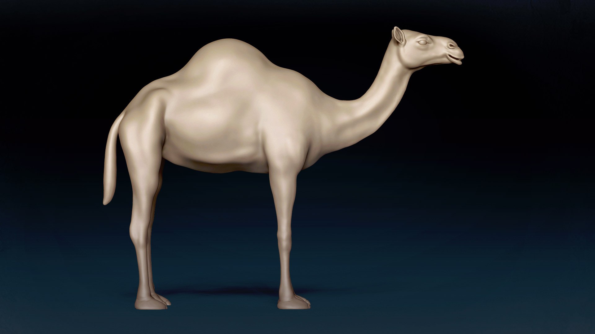 3D Camel Base Mesh 3D https://p.turbosquid.com/ts-thumb/I5/g9KyhV/m3/4/jpg/1638721429/1920x1080/fit_q87/1d25bdf1617ac032ffa7f0022315fdc76892e186/4.jpg