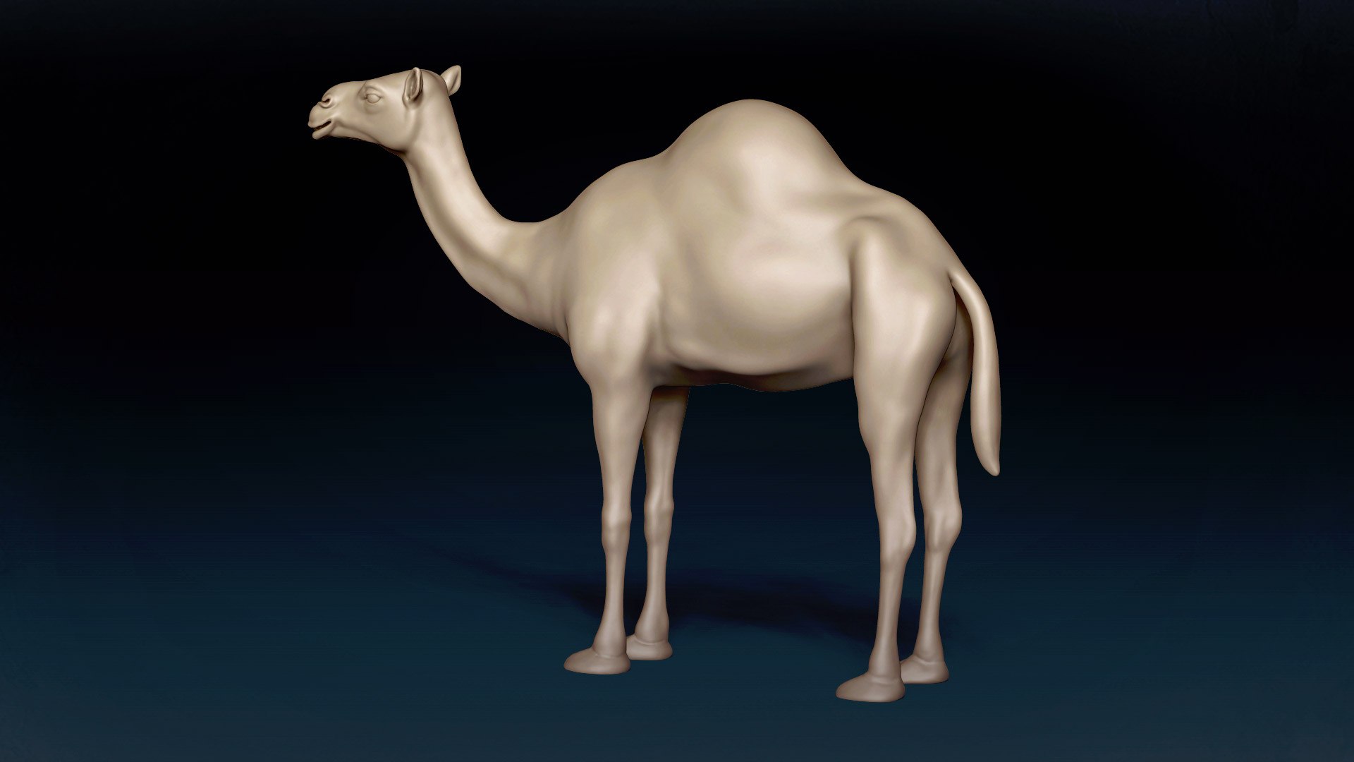 3D Camel Base Mesh 3D https://p.turbosquid.com/ts-thumb/I5/g9KyhV/oY/6/jpg/1638721431/1920x1080/fit_q87/321de7ec9372ca49e539df92e56c0b2a618efa09/6.jpg