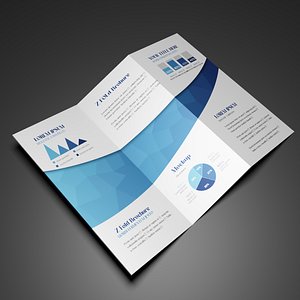 3D Folded Leaflet  Brochure Mockup- A4 Size- Z fold model