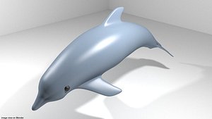 dolphin oceanic 3D model