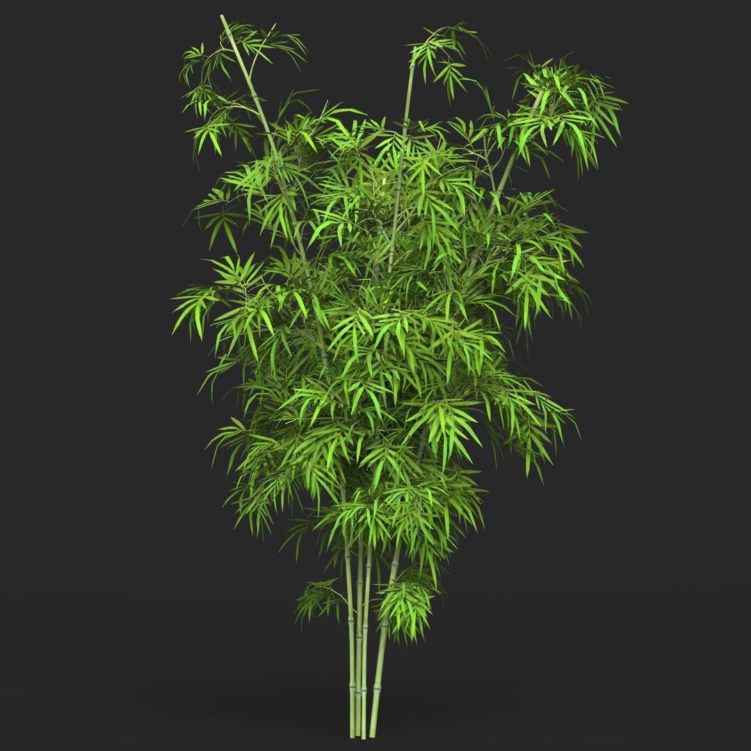 Realistic Game Ready Bamboo Tree 123D模型 - TurboSquid 1948340