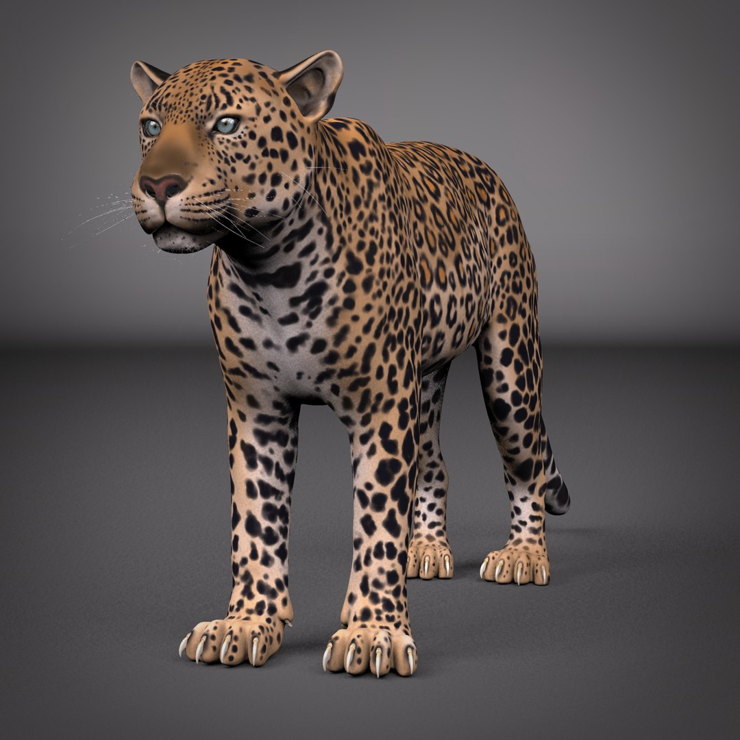 Free Leopard Rig 3D Model - TurboSquid 1182228