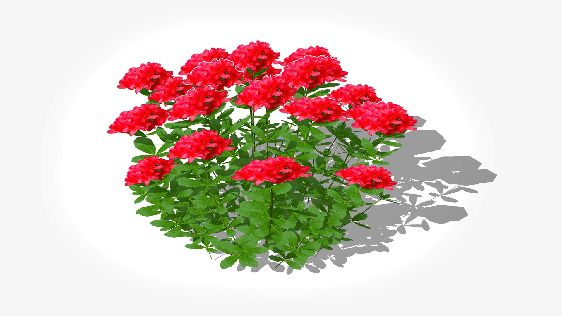 Azalea Red model https://p.turbosquid.com/ts-thumb/I6/UQnM1r/3a/5/jpg/1746345040/1920x1080/fit_q87/e930be0da04e447ae1c776e9b16627d513732a04/5.jpg