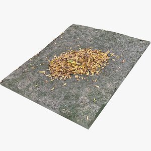 3D Leaves on the ground 3d scan