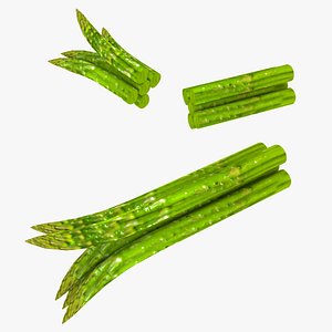 Asparagus Low-Poly