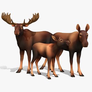 Cartoon - Moose 3D