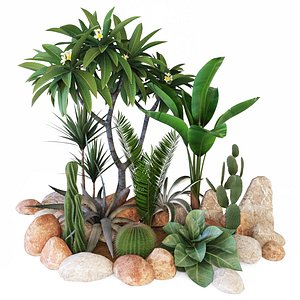 plants 3D model