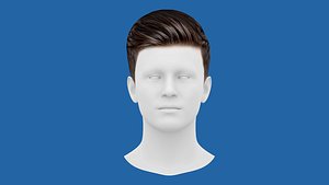 Low Poly Realistic Hair 2 for Games 3D model