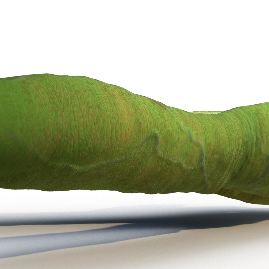 max goblin hands pose 2 https://p.turbosquid.com/ts-thumb/I7/20f522/4hzvO7hV/greengoblinhands3dsmodel15/jpg/1453729844/1920x1080/fit_q87/e7ddc3c5ffc117281bcd6ddf17e7eb72296746a5/greengoblinhands3dsmodel15.jpg