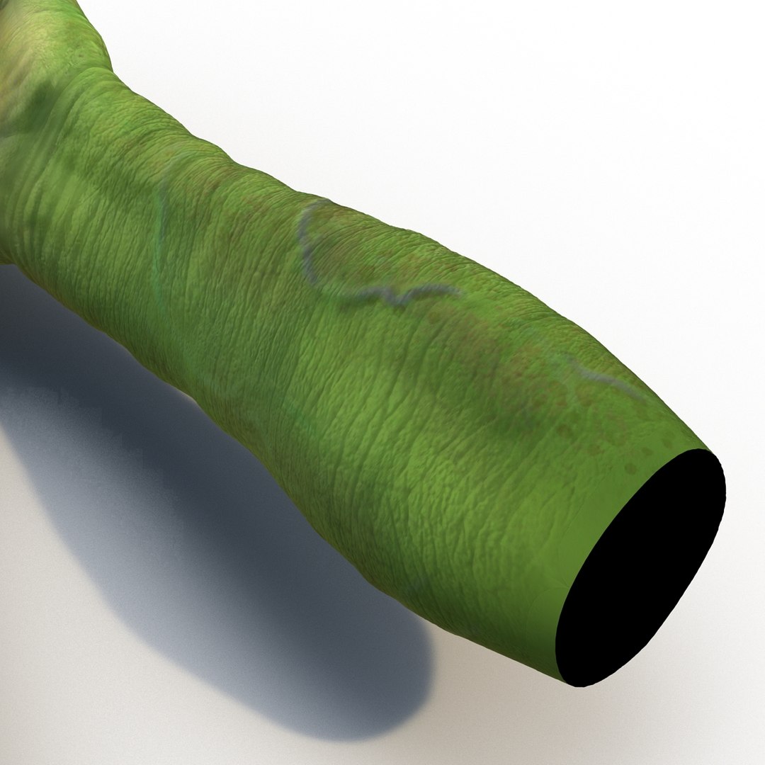 max goblin hands pose 2 https://p.turbosquid.com/ts-thumb/I7/20f522/YotzMYcF/greengoblinhands3dsmodel14/jpg/1453729844/1920x1080/fit_q87/33a03f3b11bcfaf9cdb16d3d6c867b39ae37c5ba/greengoblinhands3dsmodel14.jpg