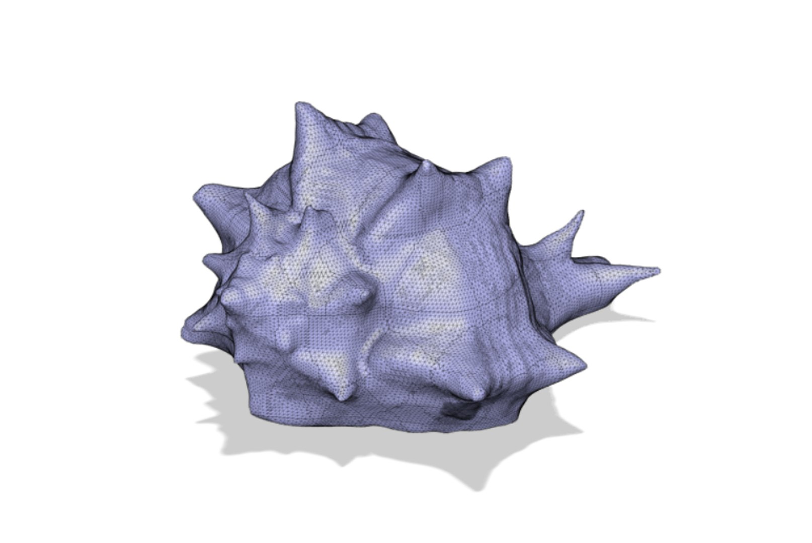 scanned horse conch shell 3D https://p.turbosquid.com/ts-thumb/I7/22NahK/46MySeid/shellrender13/png/1564671851/1920x1080/fit_q87/a764174d9fb422f7d17165c96b905d6c1e856b17/shellrender13.jpg