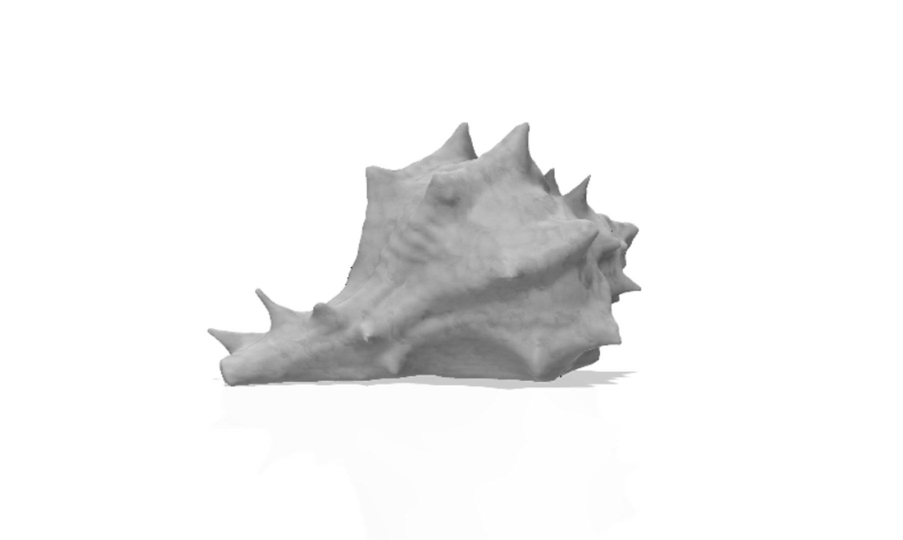 scanned horse conch shell 3D https://p.turbosquid.com/ts-thumb/I7/22NahK/N0YxzmJP/shellrender8/png/1564671884/1920x1080/fit_q87/03d4e67db6745b1fa695e45f668e573e62e34083/shellrender8.jpg