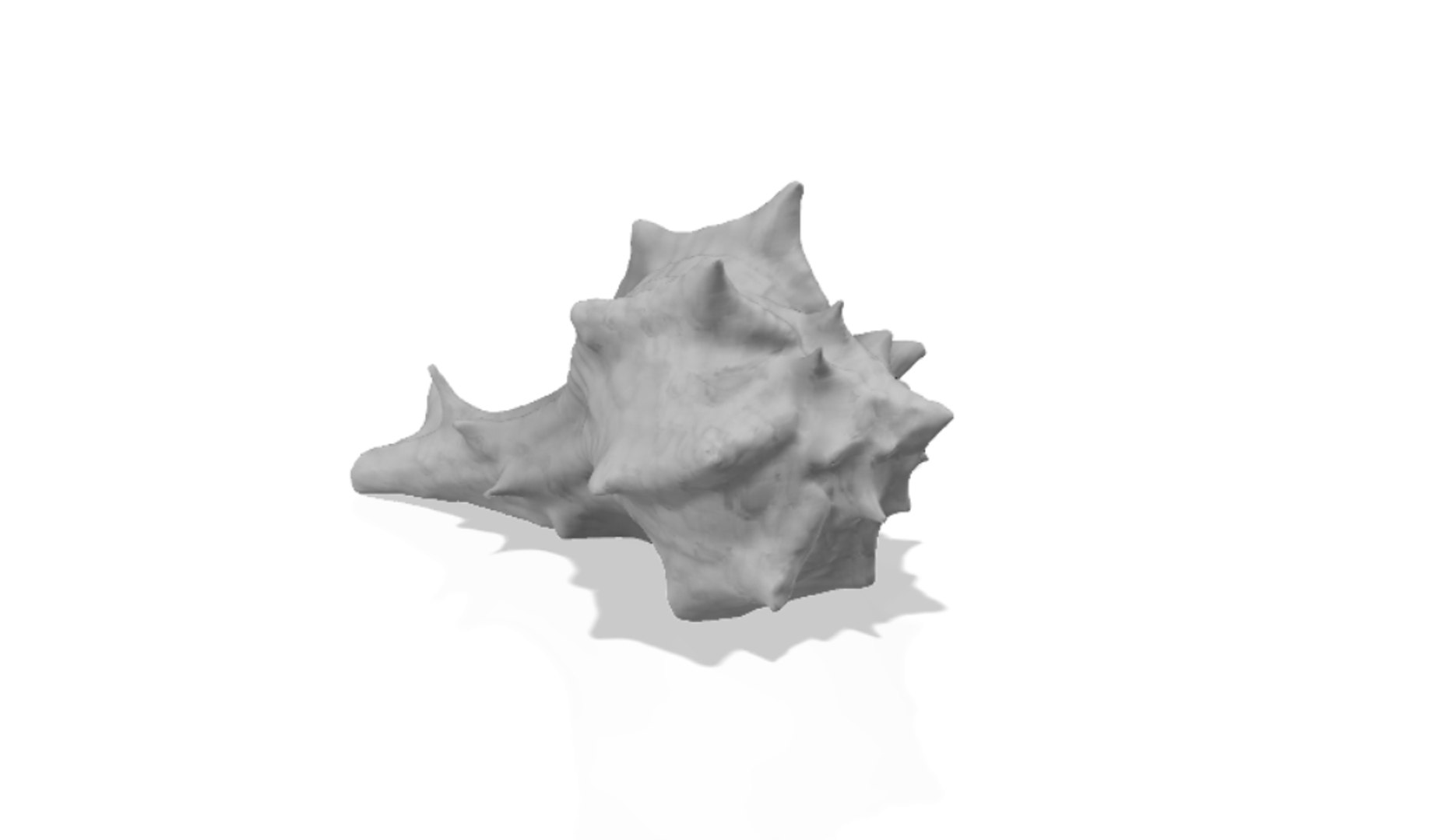 scanned horse conch shell 3D https://p.turbosquid.com/ts-thumb/I7/22NahK/O42kn0wI/shellrender1/png/1564671884/1920x1080/fit_q87/6d07920adffbf335c484c11efc122f98c03de3b5/shellrender1.jpg