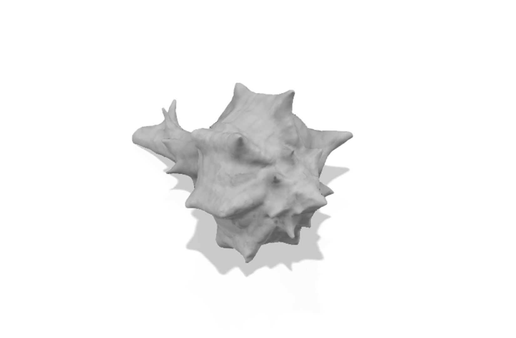 scanned horse conch shell 3D https://p.turbosquid.com/ts-thumb/I7/22NahK/Qye1pT7O/shellrender7/png/1564671884/1920x1080/fit_q87/a99a7056cc2e5c12a01358cae2d5b5f540b0dd51/shellrender7.jpg