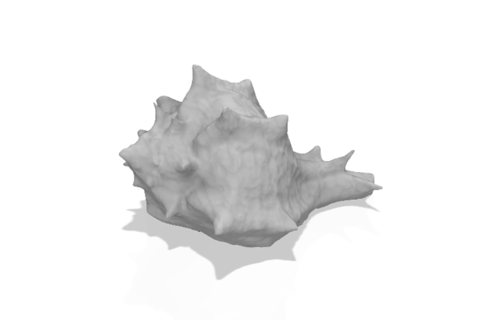 scanned horse conch shell 3D https://p.turbosquid.com/ts-thumb/I7/22NahK/WHd4olnN/shellrender4/png/1564671884/1920x1080/fit_q87/e00fb69118a51e07cd2304e4fc866158986044be/shellrender4.jpg
