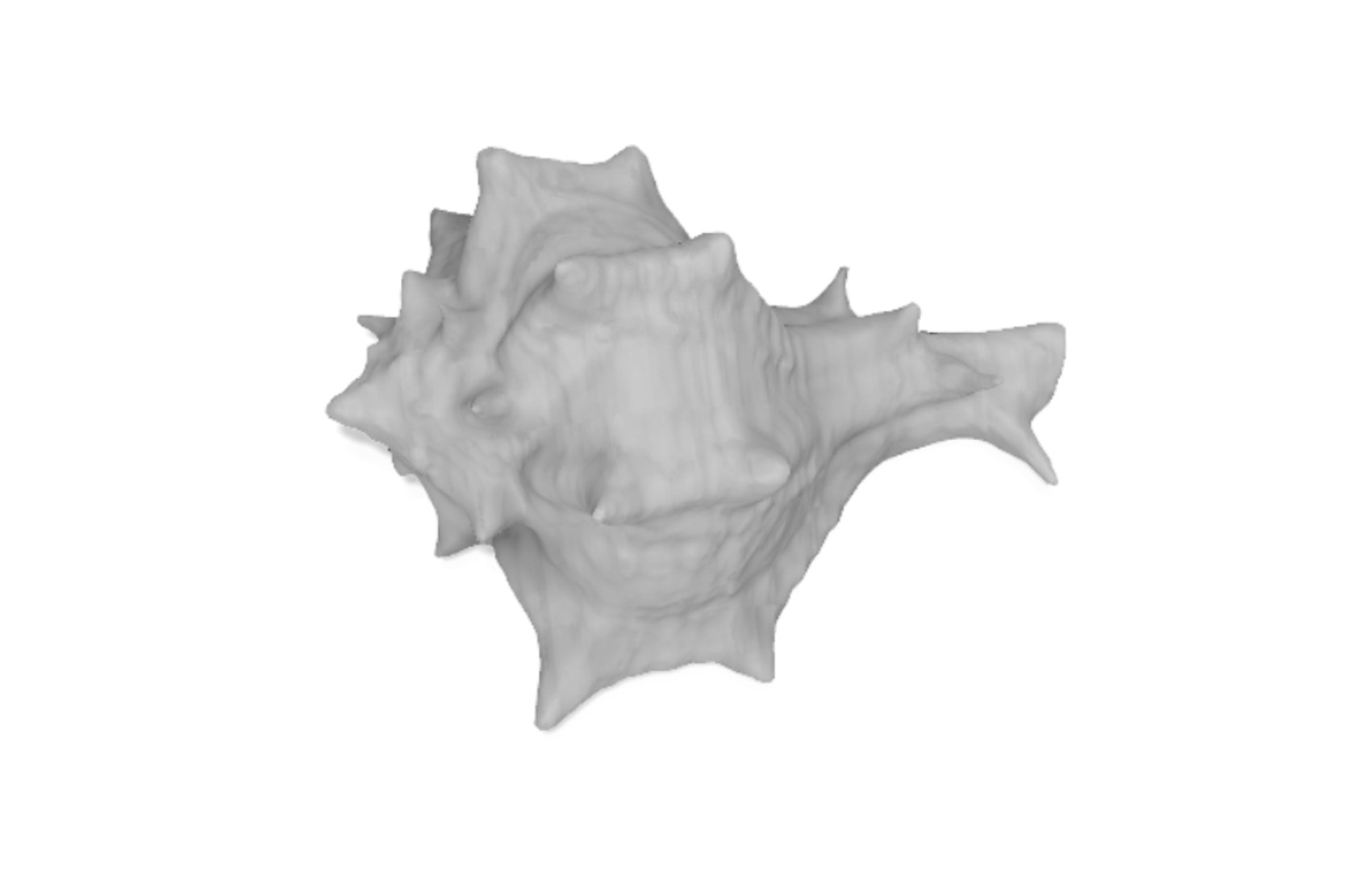 scanned horse conch shell 3D https://p.turbosquid.com/ts-thumb/I7/22NahK/btj7Y3hW/shellrender5/png/1564671884/1920x1080/fit_q87/3711c270b852a63409ef4cdc973399a36f373b13/shellrender5.jpg