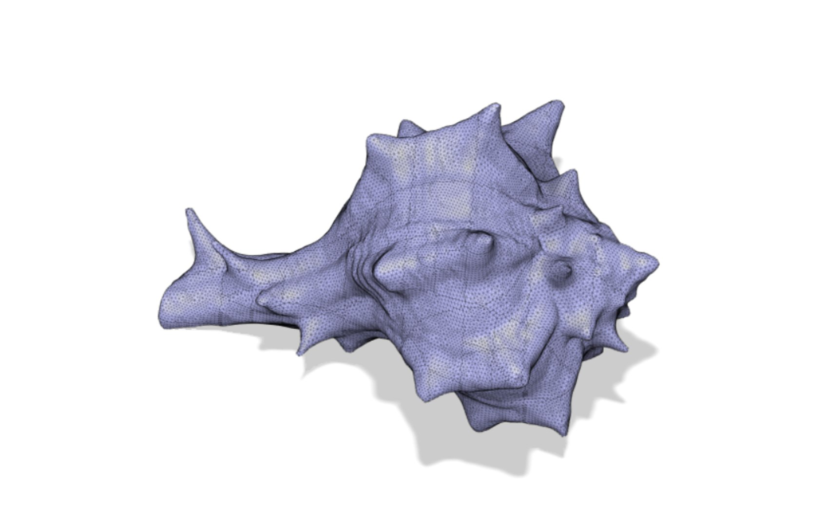 scanned horse conch shell 3D https://p.turbosquid.com/ts-thumb/I7/22NahK/fgqoJFM1/shellrender15/png/1564671912/1920x1080/fit_q87/9095efc93cd6066b94fc94eb2468a605ba4270f3/shellrender15.jpg