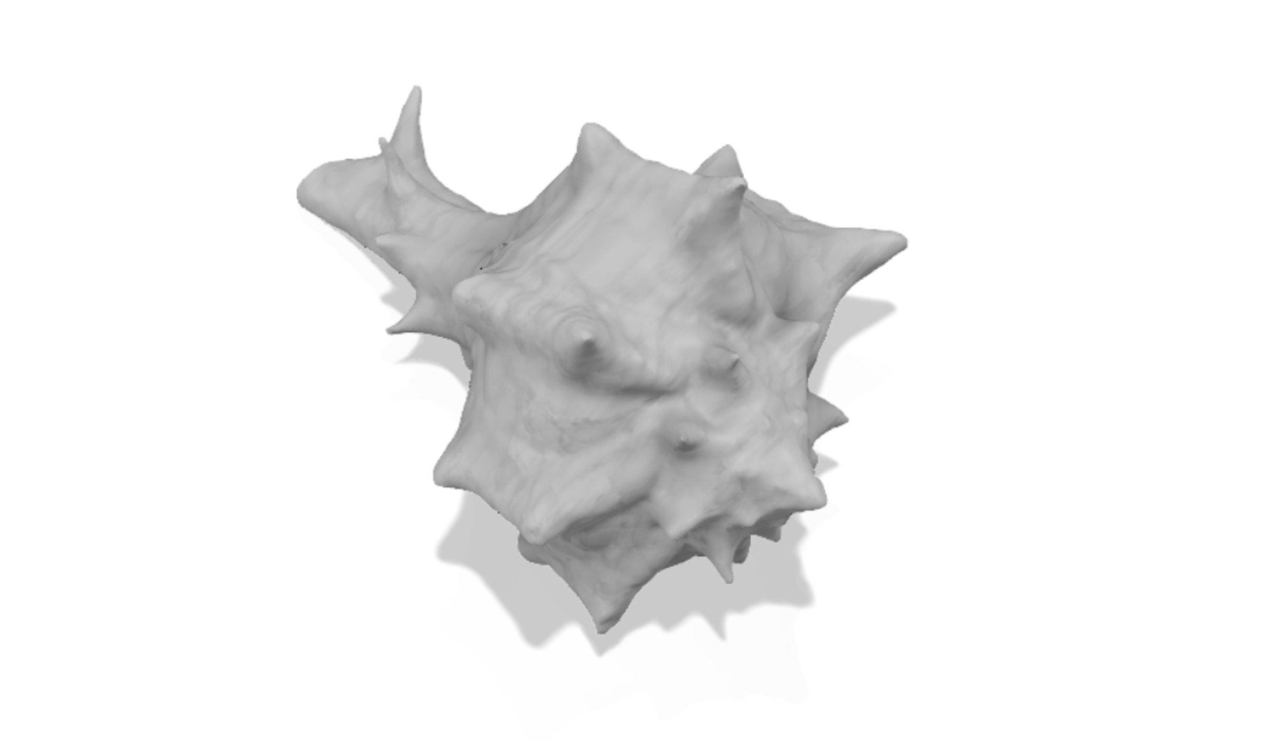scanned horse conch shell 3D https://p.turbosquid.com/ts-thumb/I7/22NahK/gNlbotua/shellrender10/png/1564671884/1920x1080/fit_q87/90fe3725a6fe4aeb25118778720bbb5a337f7812/shellrender10.jpg