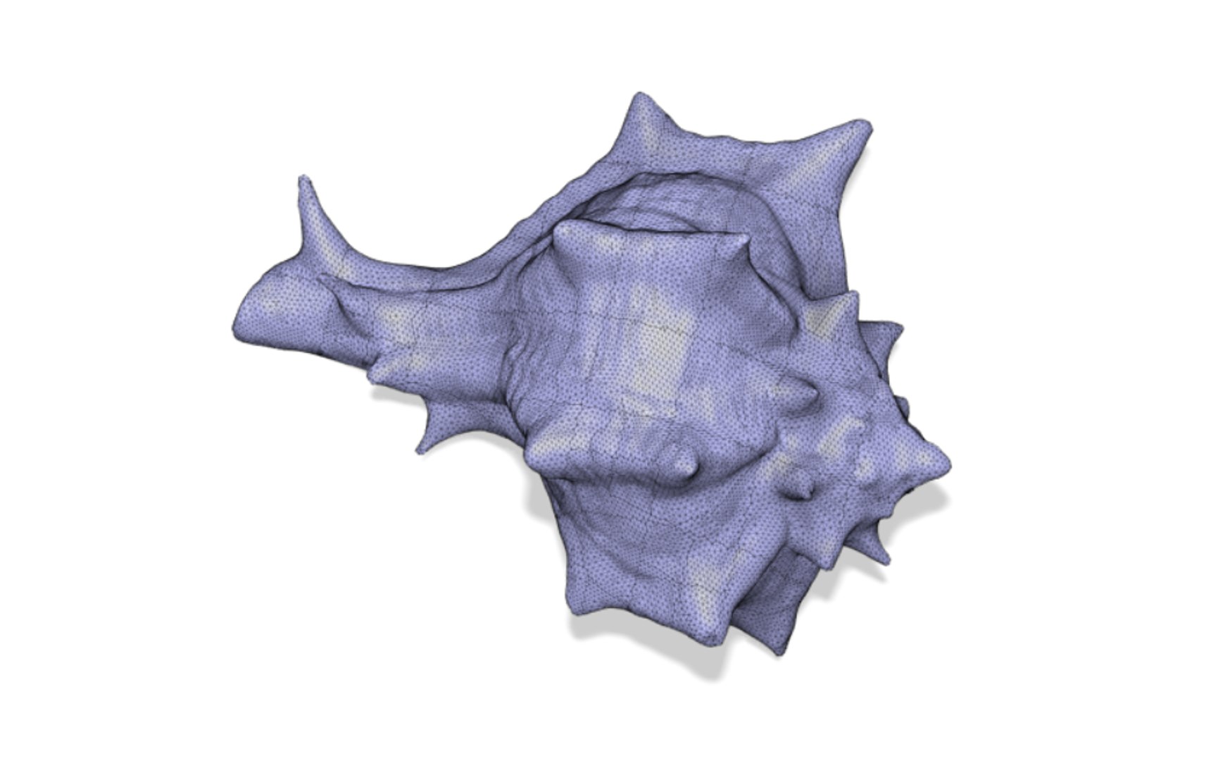 scanned horse conch shell 3D https://p.turbosquid.com/ts-thumb/I7/22NahK/zPQZYrCI/shellrender16/png/1564671912/1920x1080/fit_q87/093943a237e75319f553d71f7a2a974635eab996/shellrender16.jpg