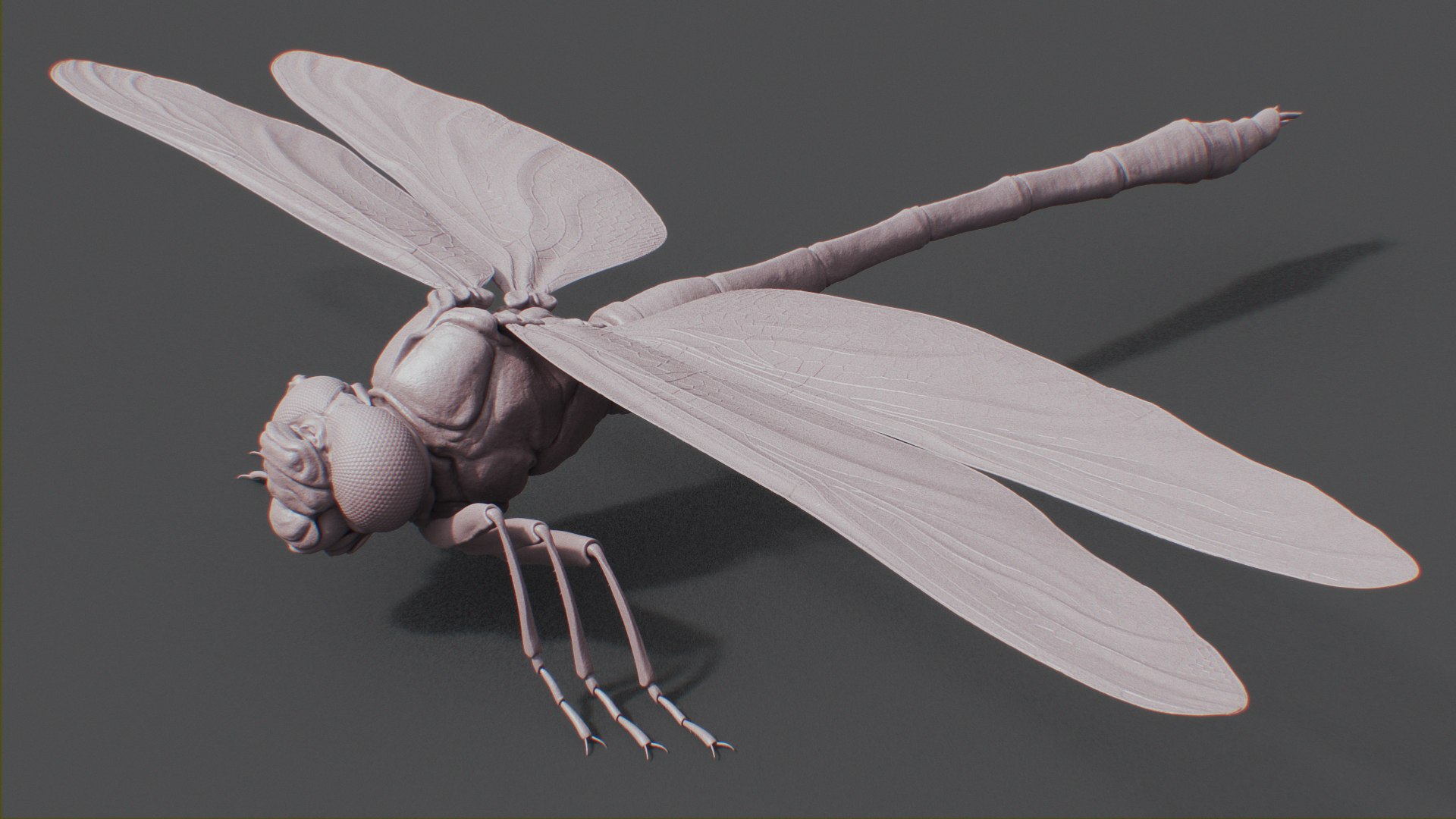 Dragonfly 3D Model - TurboSquid 2006431