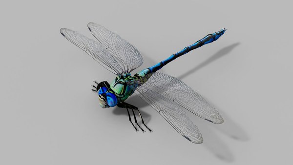modelo 3d Libélula TurboSquid 2006431