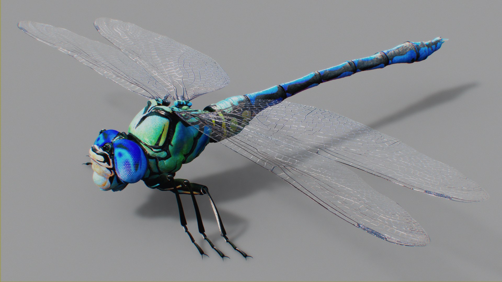 Dragonfly 3D Model - TurboSquid 2006431
