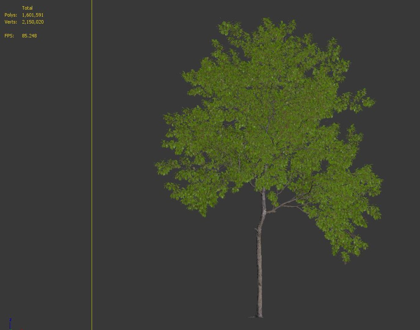 3D Robinia Pseudoacacia 05 - TurboSquid 1936678