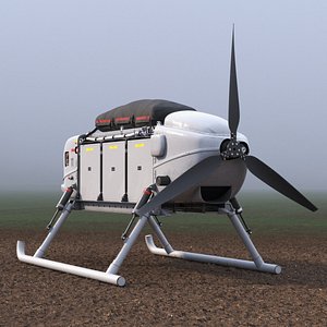 Snowgoose UAV MMIST CQ-10 Rigged for Maya 3D model