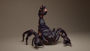 3D Scorpion