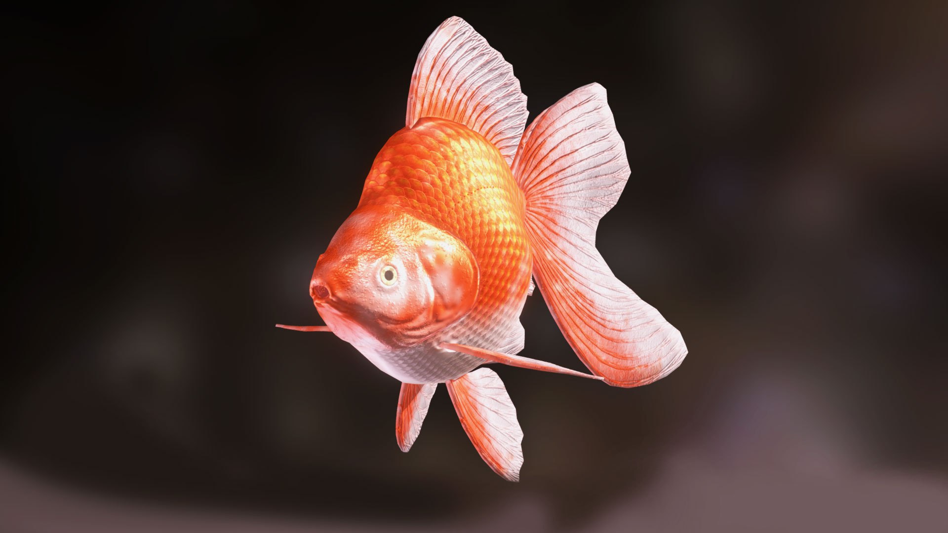 Goldfish Rigged Animated 3D Model - TurboSquid 1846655