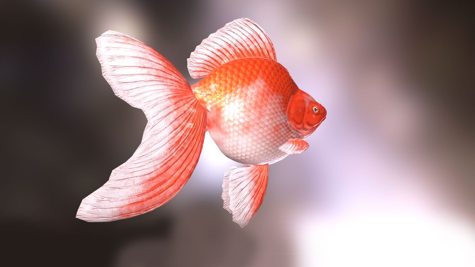 Goldfish Rigged Animated 3D Model - TurboSquid 1846655