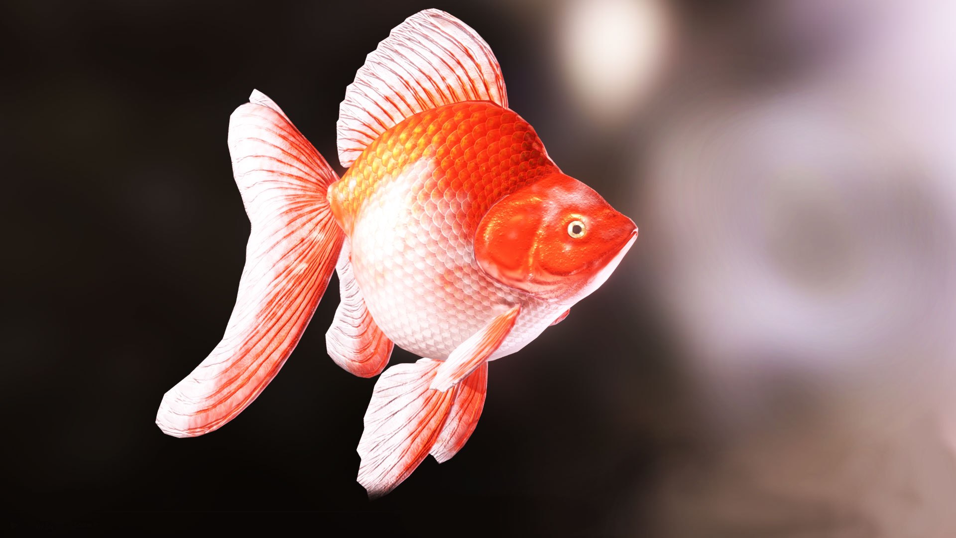 Goldfish Rigged Animated 3D Model - TurboSquid 1846655