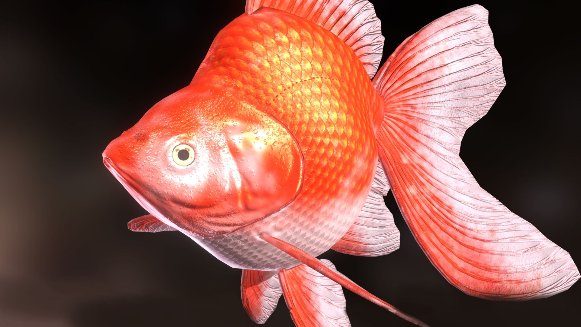 Goldfish Rigged Animated 3D Model - TurboSquid 1846655