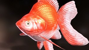 Goldfish Rigged Animated 3D model