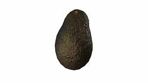 3d model avocado